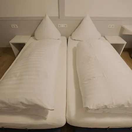 Loewen & Restaurant Hotel 3*