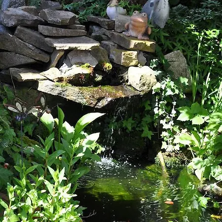 Loewen & Restaurant Hotel 3*