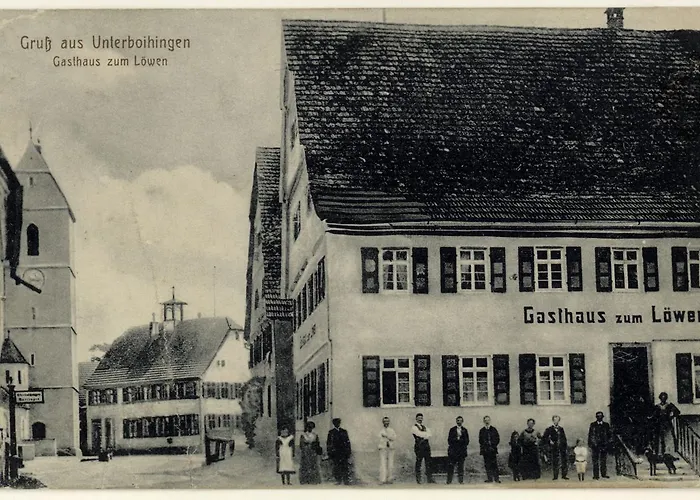 Hotel Löwen Hotel&restaurant 3*